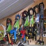 LEASH de 6 à 12' de 25 à 39€